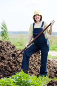 How to Use Manure in Organic Growing Image